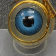 Беспроводной искусственный глаз испытают на людях