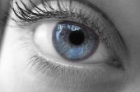 Перепрограммированием клеток глаза можно будет остановить развитие слепоты